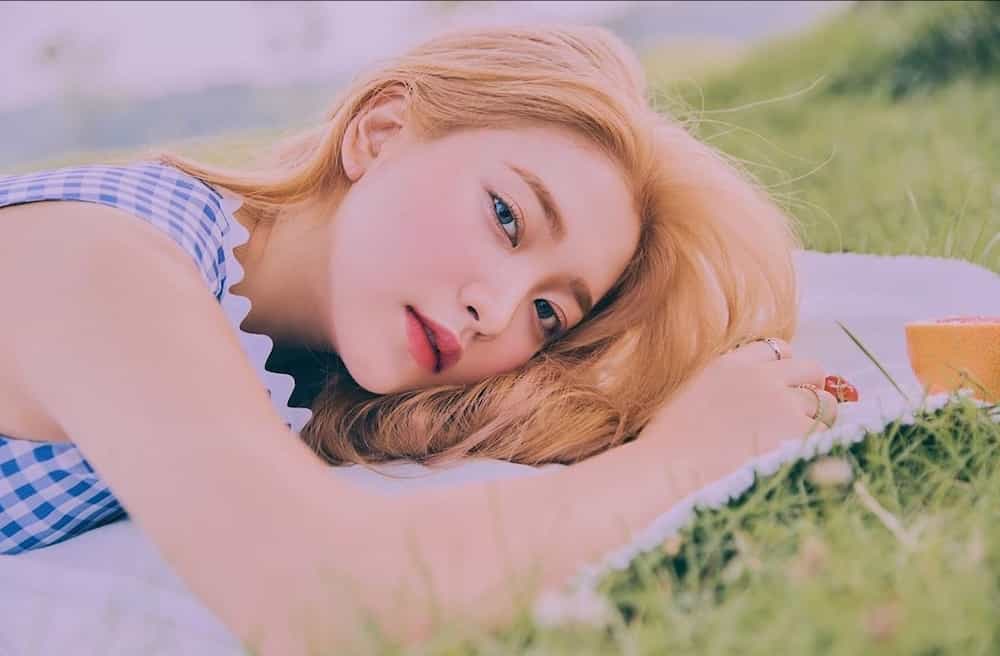Red Velvet members Red Velvet members
