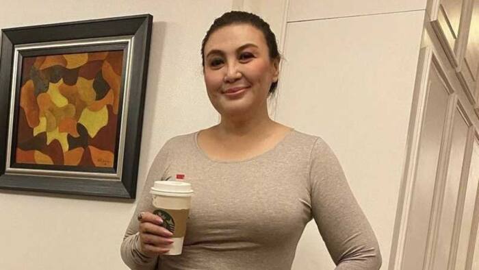 Sharon Cuneta shares a quote: "Go where you are celebrated, not tolerated"