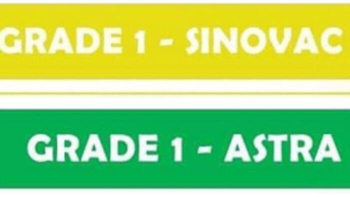 COVID vaccines na ginamit na pangalan ng Grade 1 sections sa Valenzuela, viral