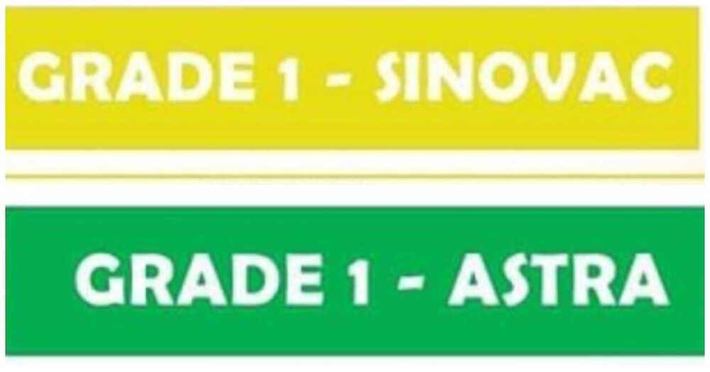 Mga COVID-19 vaccine na ginamit na section ng Grade 1 classes sa Valenzuela, viral