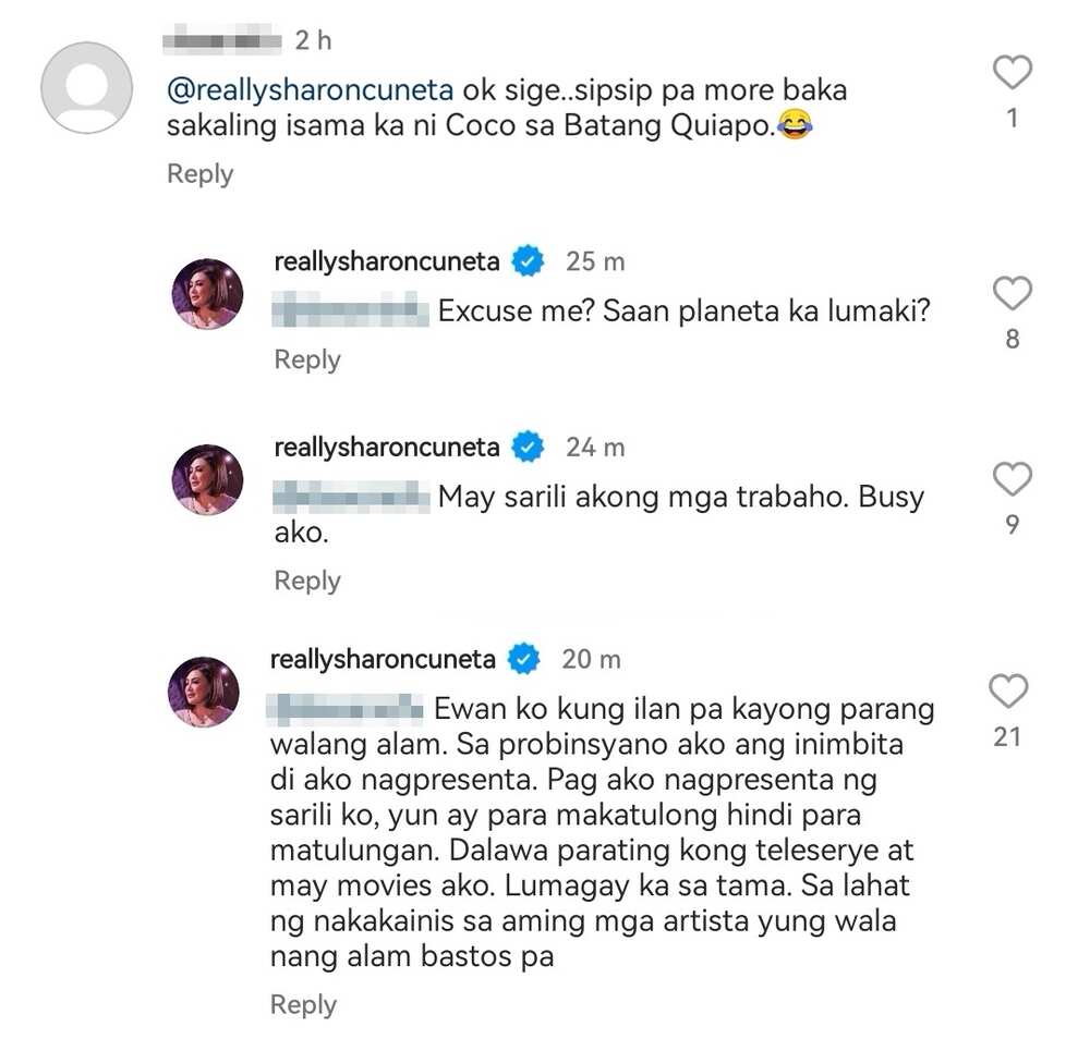 Sharon Cuneta slams basher who called her '"sipsip" in post for CocoJul: "Parang walang alam"
