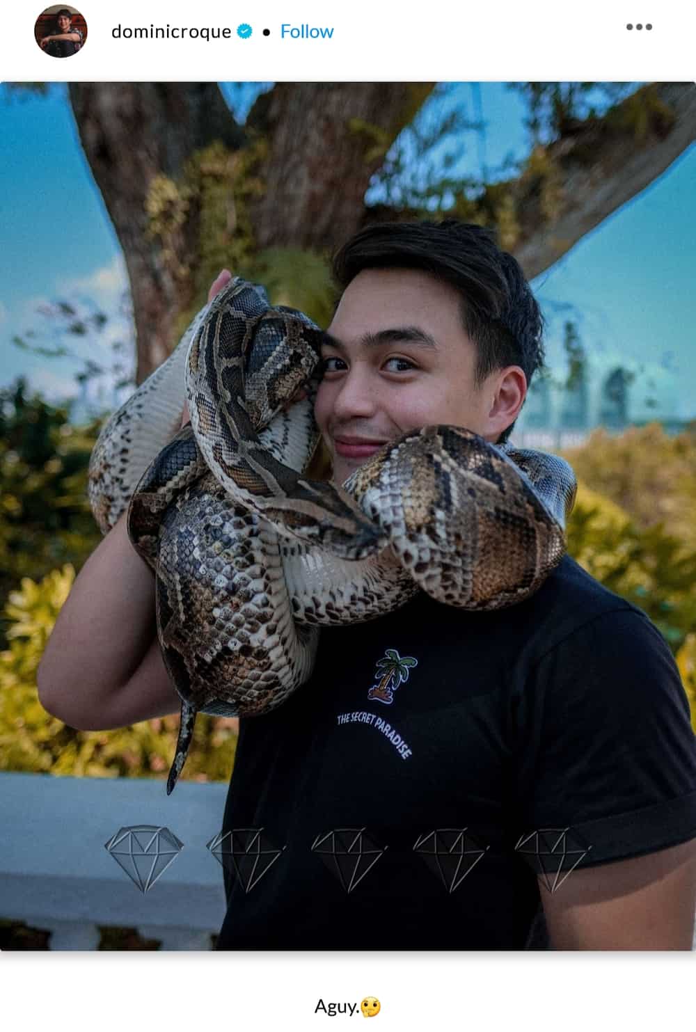 Dominic Roque posts photo of a snake around the neck amid Gerald Anderson-Julia Barretto's admission