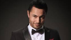 Find out who Derek Ramsay is: His net worth, career, and personal life