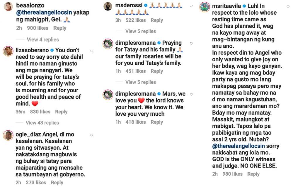 Celebrities defend, comfort Angel Locsin after senior dies in her community pantry