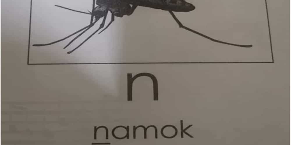 Module that called mosquitoes as "namok" in Tagalog goes viral Module that called mosquitoes as "namok" in Tagalog goes viral