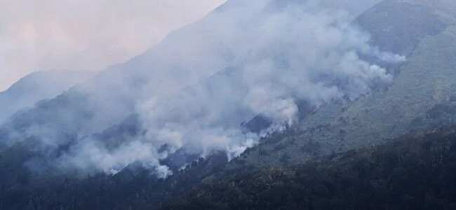 Mt. Apo fire now under control