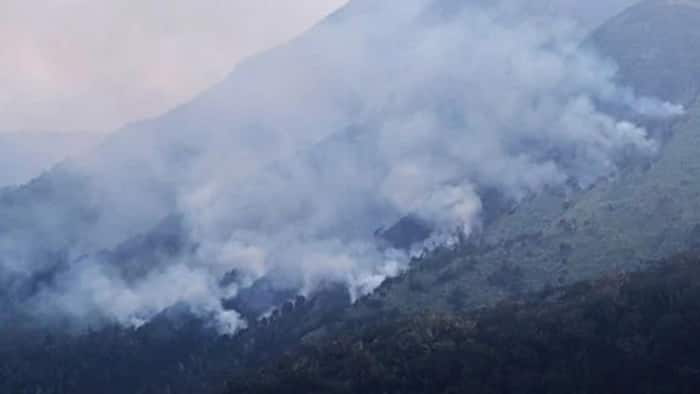 Mt. Apo fire now under control