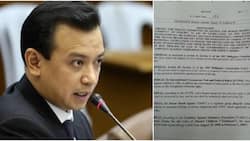 Trillanes urges committee to include Davao Death Squad killings in EJK investigation