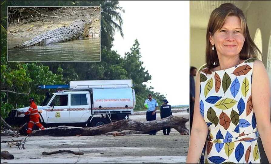 Night swimming gone terribly wrong: woman gets dragged by crocodile