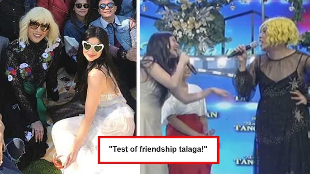 Vice and Anne's friendship got tested because of Anne's New Zealand wedding