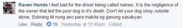 Celebrity hair stylist calls for help to catch driver who run over Jennylyn Mercado’s dog