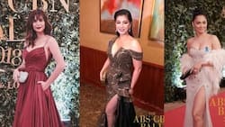 No partner, no problem! 15 glamorous celebs who went solo at ABS-CBN Ball 2018