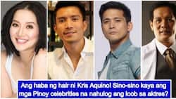 Maraming pina-ibig! 7 Pinoy celebrities who are Kris Aquino's ex-boyfriends