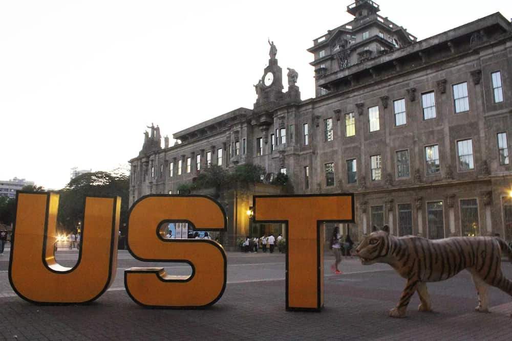 Viral UST student Kyle Viray accused of physically abusing ex-gf now expelled from university