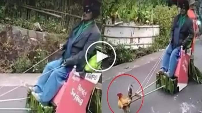 #WalangPuso: This man had his 'cock' pull his cart, what he did is really crazy!
