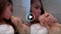 This Pinay was just giving a treat to her cat but she ended up being bitten right on the lips
