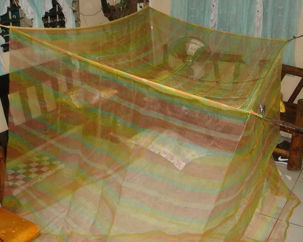 10 things you will find common in every Filipino home 10 things you will find common in every Filipino home