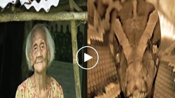 Ayos sa kapatid! Old woman from Quezon has twin sibling which is a SNAKE