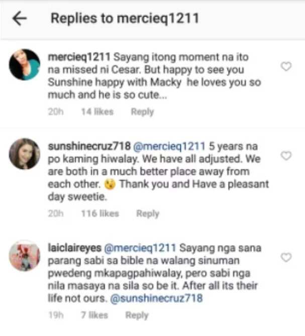 Sunshine Cruz shuts down netizen who commented about Cesar Montano