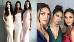 PH crowned beauty queens Pia, Megan, Kylie reunites for Francis Libiran