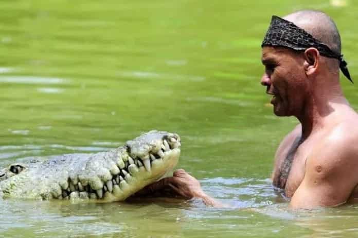 Dangerous friendship: meet the man who swims daily with a 5-meter crocodile