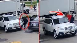 Woman stops car thief from driving away with her vehicle. She jumped on the hood unwilling to let go of her car...