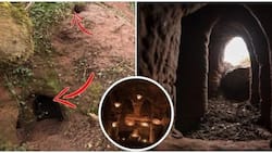 Farmer finds a rabbit hole in his field that leads to mysterious caves that were used in the 18th and 19th century