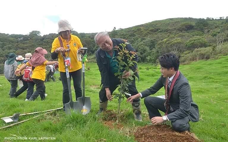 Cherry blossoms soon to bloom in Benguet