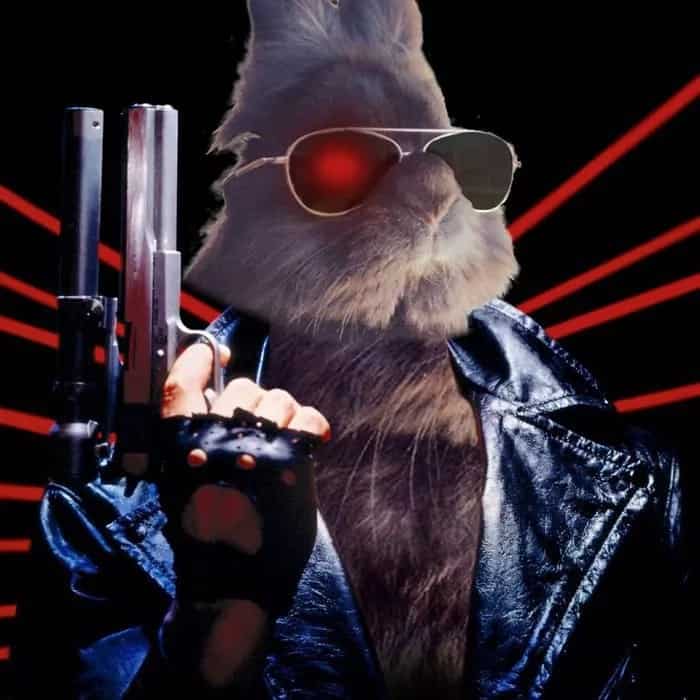 Somebody Put Sunglasses on a Cute Bunny and Internet Went Totally Insane (10+ Pics)