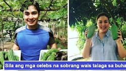 Wais talaga sila! 6 Celebs who hardly go to the market because they get their fruits and veggies right from their own farm and garden