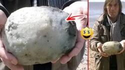 “May Pera sa Basura” Indeed! Couple Discovered Foul-Smelling “Rock”, Worth Millions!