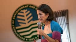 DENR chief Lopez countered criticisms on her 1st day