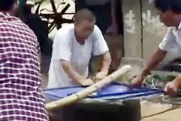 Dogs are killed in the most painful way in China
