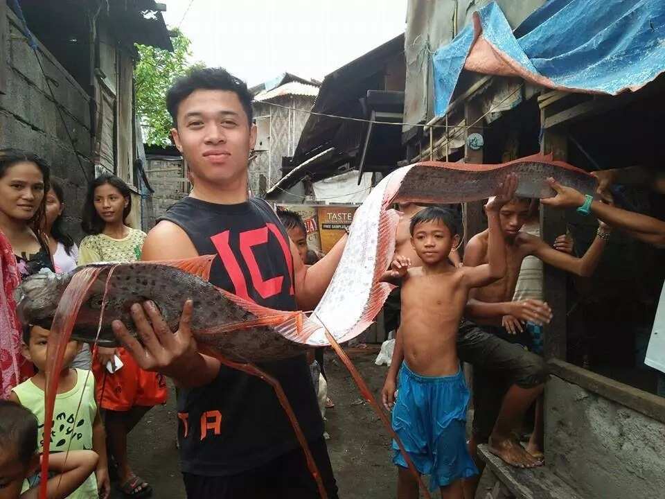 PHOTOS: Rare oarfish captured in Mindanao