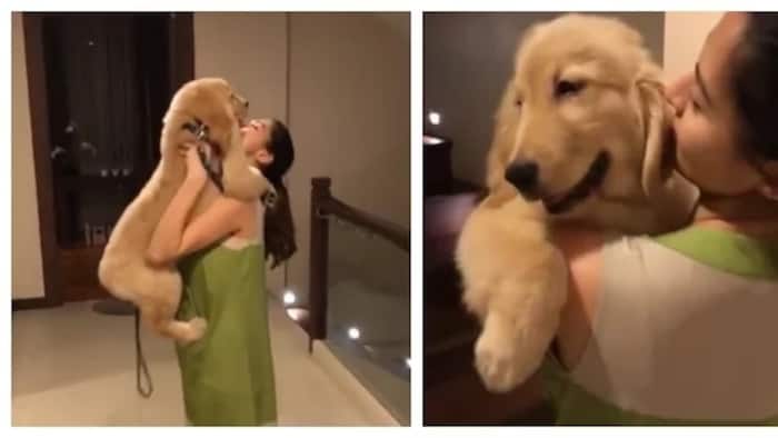 Watch Marian Rivera get emotional as she welcomes cute dog as new member of her family!