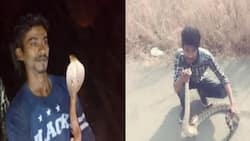 Wag kasi puro selfie! Man dies after taking selfie with cobra