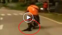 Pinoy rider caught on video dragging poor dog behind motorcycle