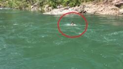 His friends provoked Fil-Am teen to jump in the river but he suddenly asked for help