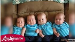 Mom Gives Birth To Four Babies At Once. But They’re Not Quadruplets!