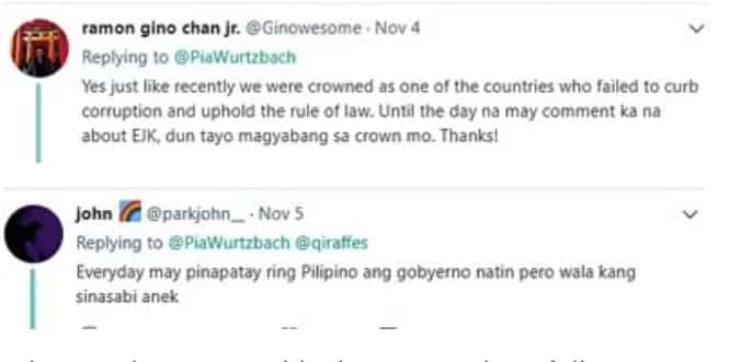 Pia Wurtzbach draws flak for blocking Twitter users who commented about EJK