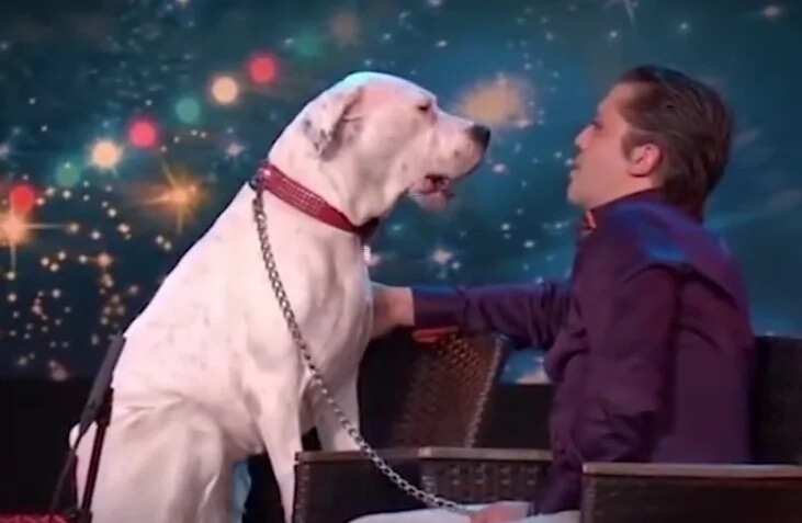 Dog sings Whitney Houston hit in viral video