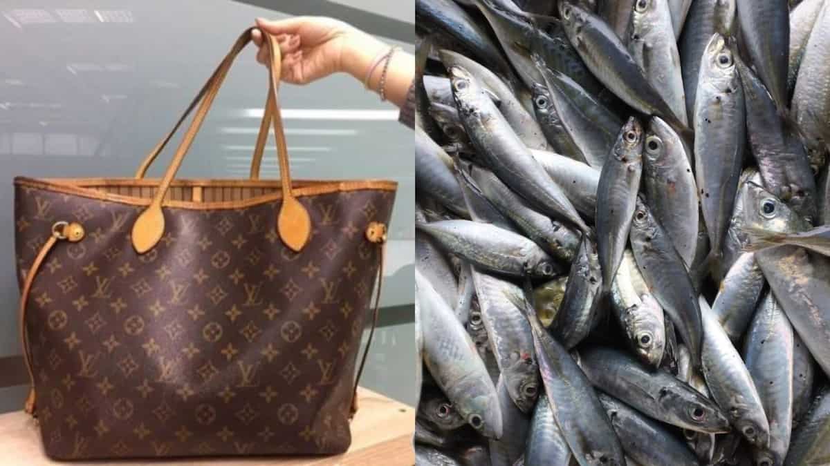 Granny uses her $1200 Louis Vuitton to bag her fish from the