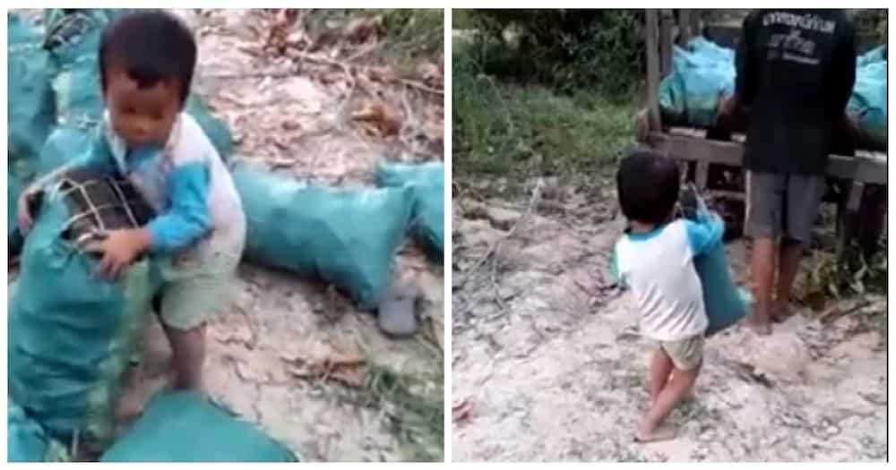 Sobrang matulungin! Child works to help parents carry heavy things to trucks