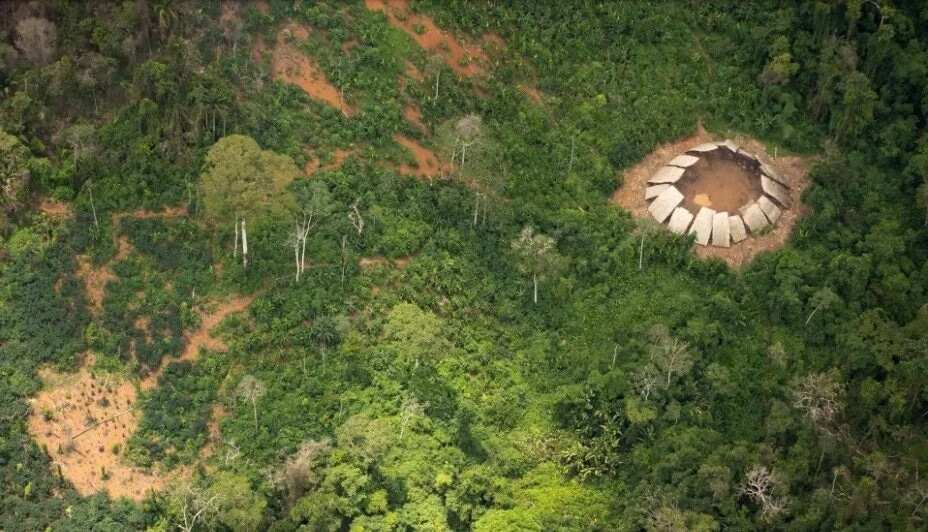 Untouched Amazon Tribe Sees Airplane For The First Time Untouched Amazon Tribe Sees Airplane For The First Time