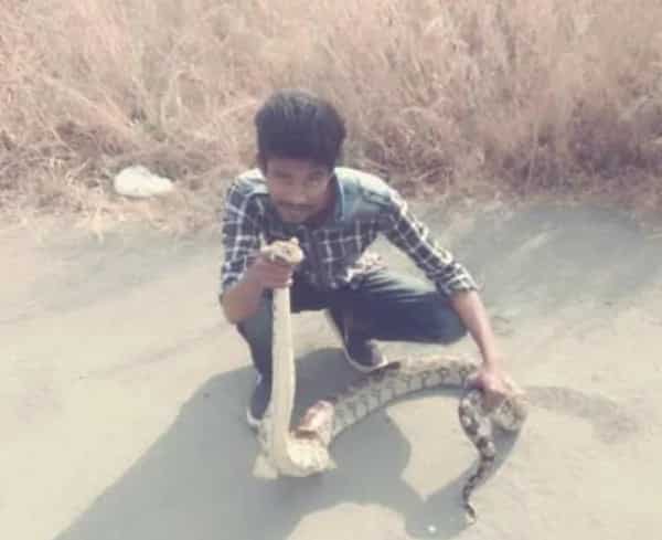 Indian dies after taking pictures with cobra