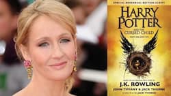 A bittersweet goodbye: J.K. Rowling says the 'Cursed Child' is the end for Harry
