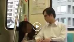 Chinese manyakis fondles sleeping woman in train angers netizens