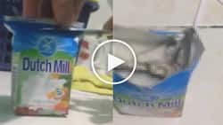 Netizen vows never to buy Dutch Mill again after discovering disgusting substance inside