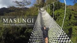 3 reasons why you should visit Masungi Georeserve