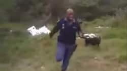 Policeman screams and runs like a little girl when his dog shows him a snake